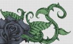 (image for) Black Rose